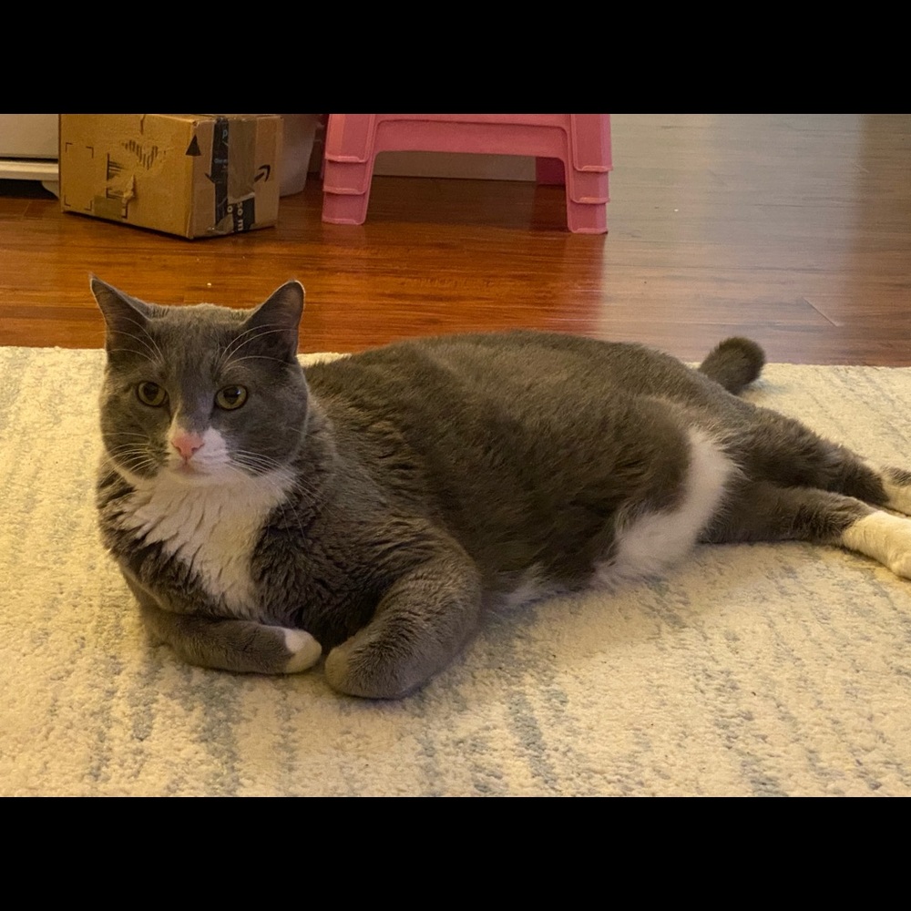 Meet your Posher, Yami